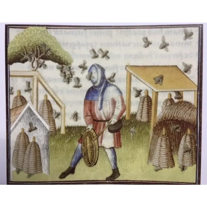 Burgschneider Chaperon Curt Blue - Image 3