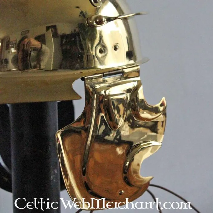 Deepeeka Coolus E, Londinium - Image 5