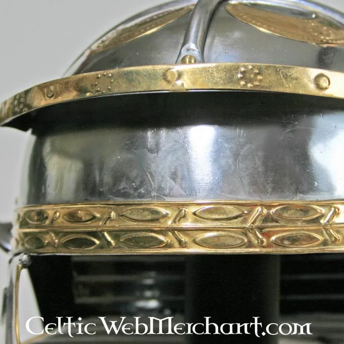 Deepeeka Imperial Italic Galea G, Hebron - Image 6